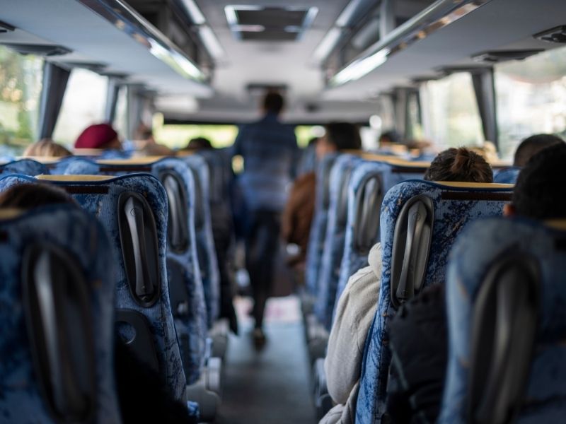 Buses pucon termas