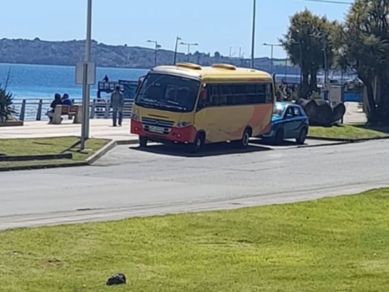 buses para viajes especiales (2)