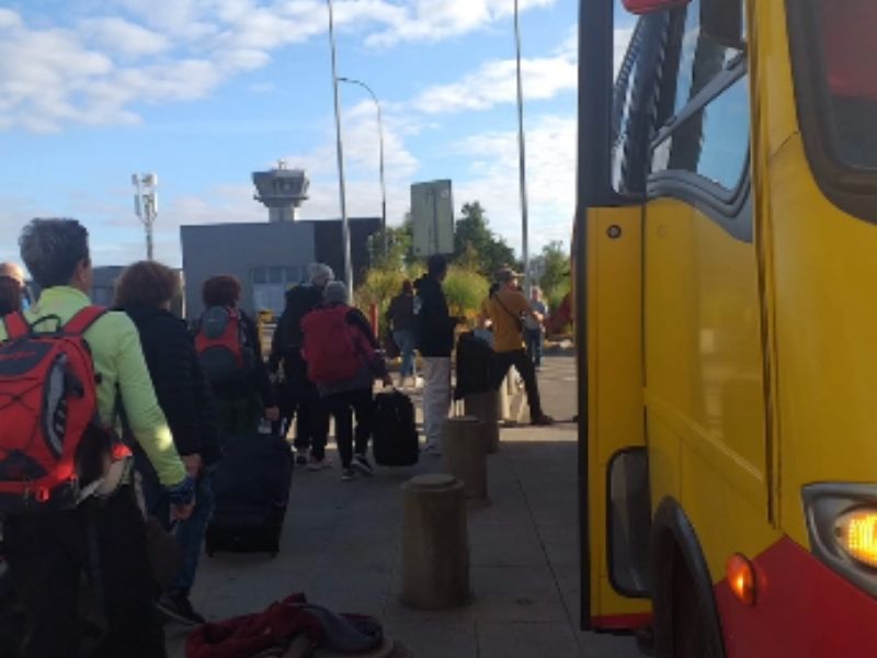 buses para viajes especiales (2)
